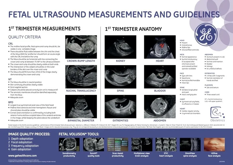  1st Trimester Measurements & Guidelines